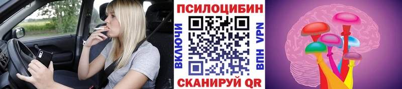 Галлюциногенные грибы MAGIC MUSHROOMS  закладки  Горбатов 